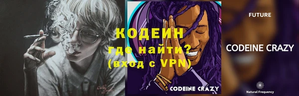 шишки Ладушкин