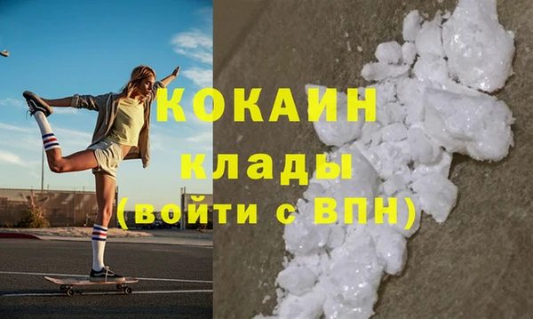 шишки Ладушкин