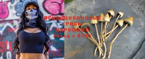 шишки Ладушкин