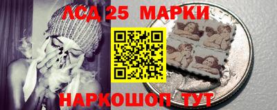прущие грибы Гатчина