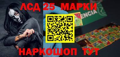 прущие грибы Гатчина