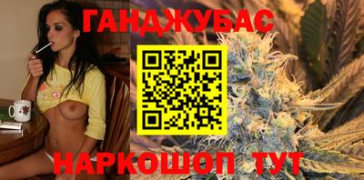 прущие грибы Гатчина