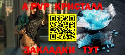 прущие грибы Гатчина