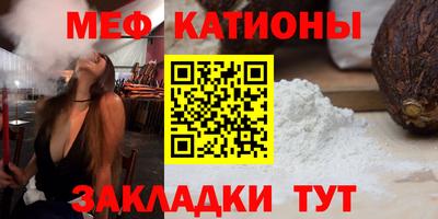 прущие грибы Гатчина
