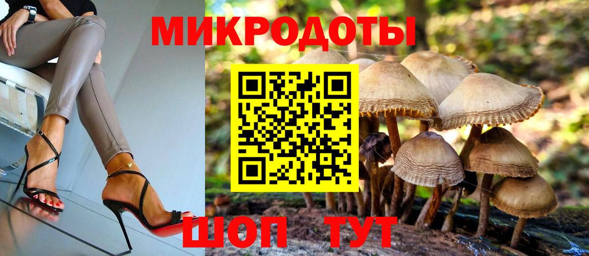 Новоалександровск  Галлюциногенные грибы мухоморы  Галлюциногенные грибы Cubensis  Вход с VPN 