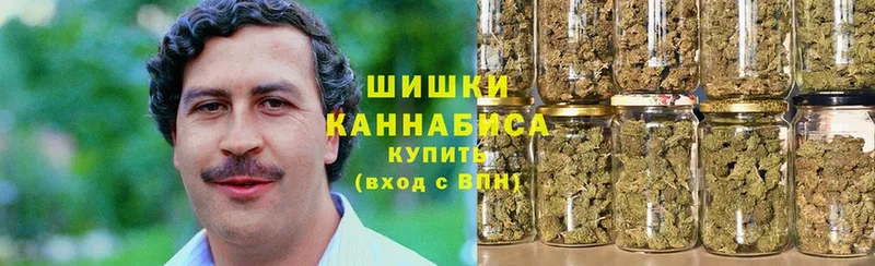 Бошки марихуана THC 21%  mega онион  Новоалександровск 