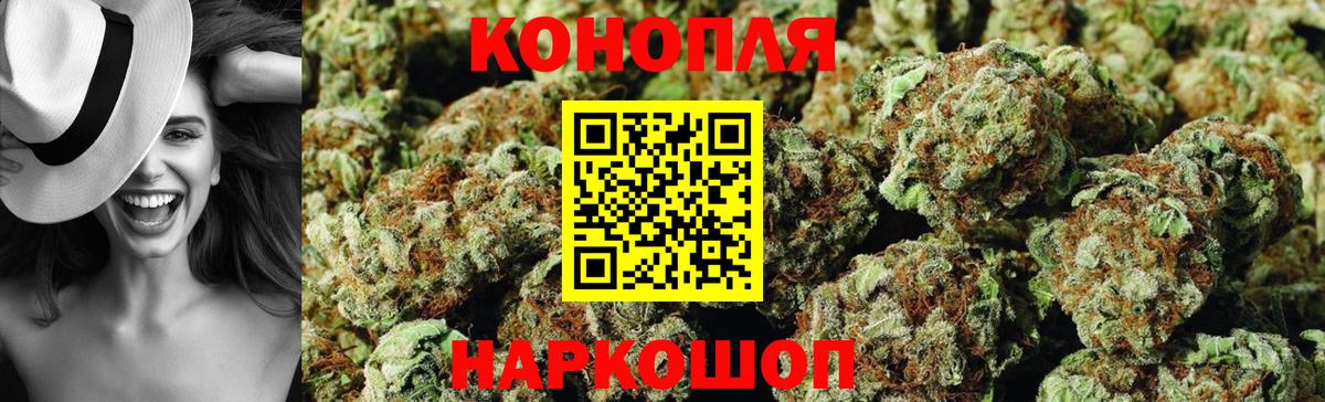 Конопля сатива Новоалександровск